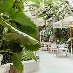 Casa Diluca Cartagena Hotel Boutique