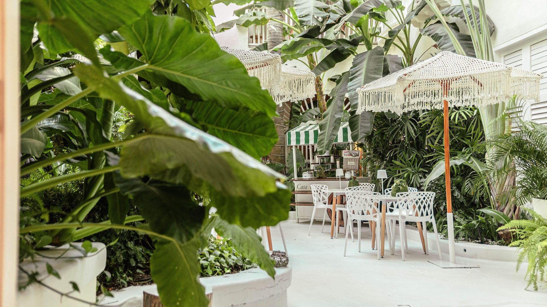 Casa Diluca Boutique Hotel Cartagena