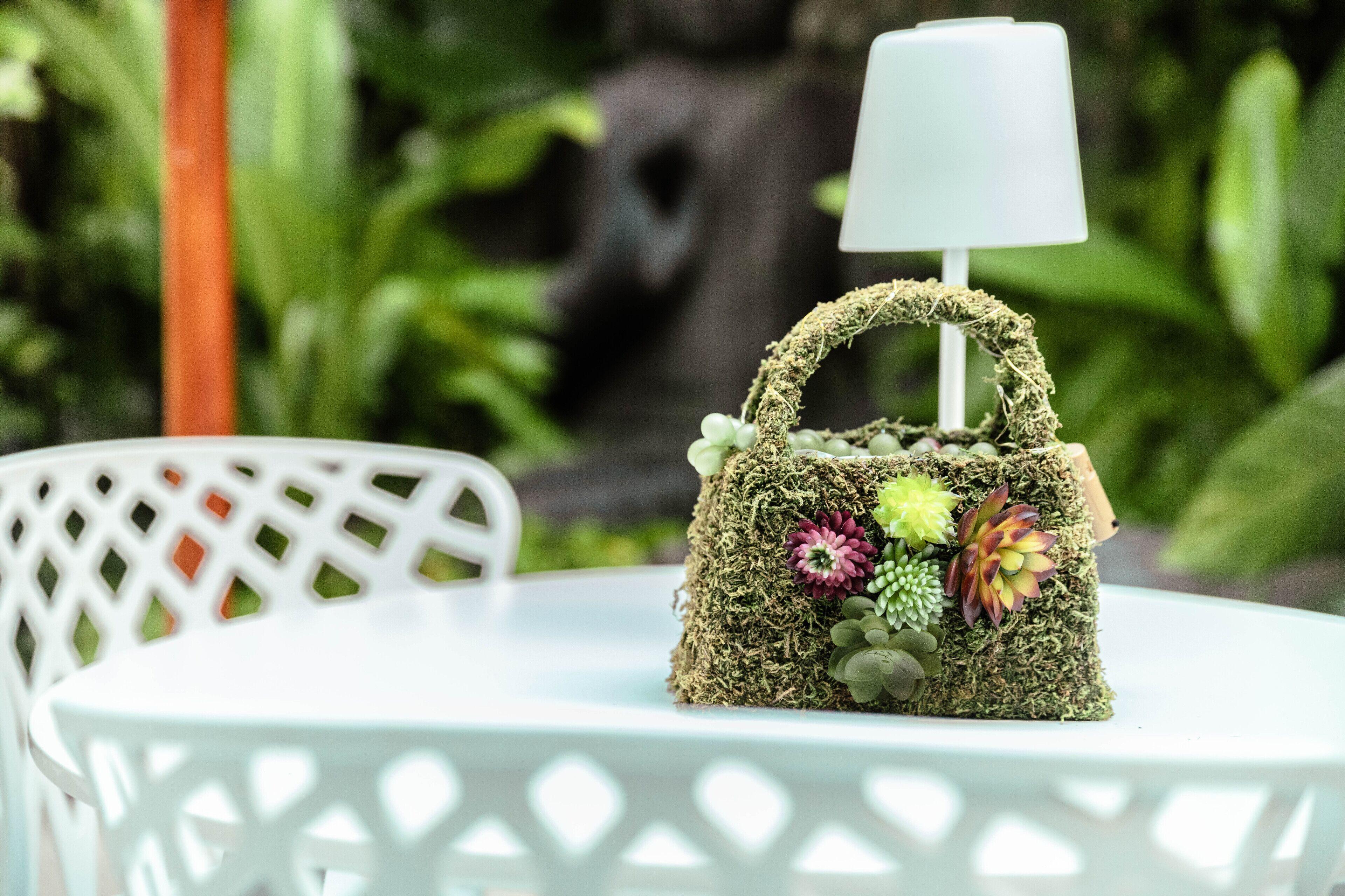 Casa Diluca Boutique Cartagena